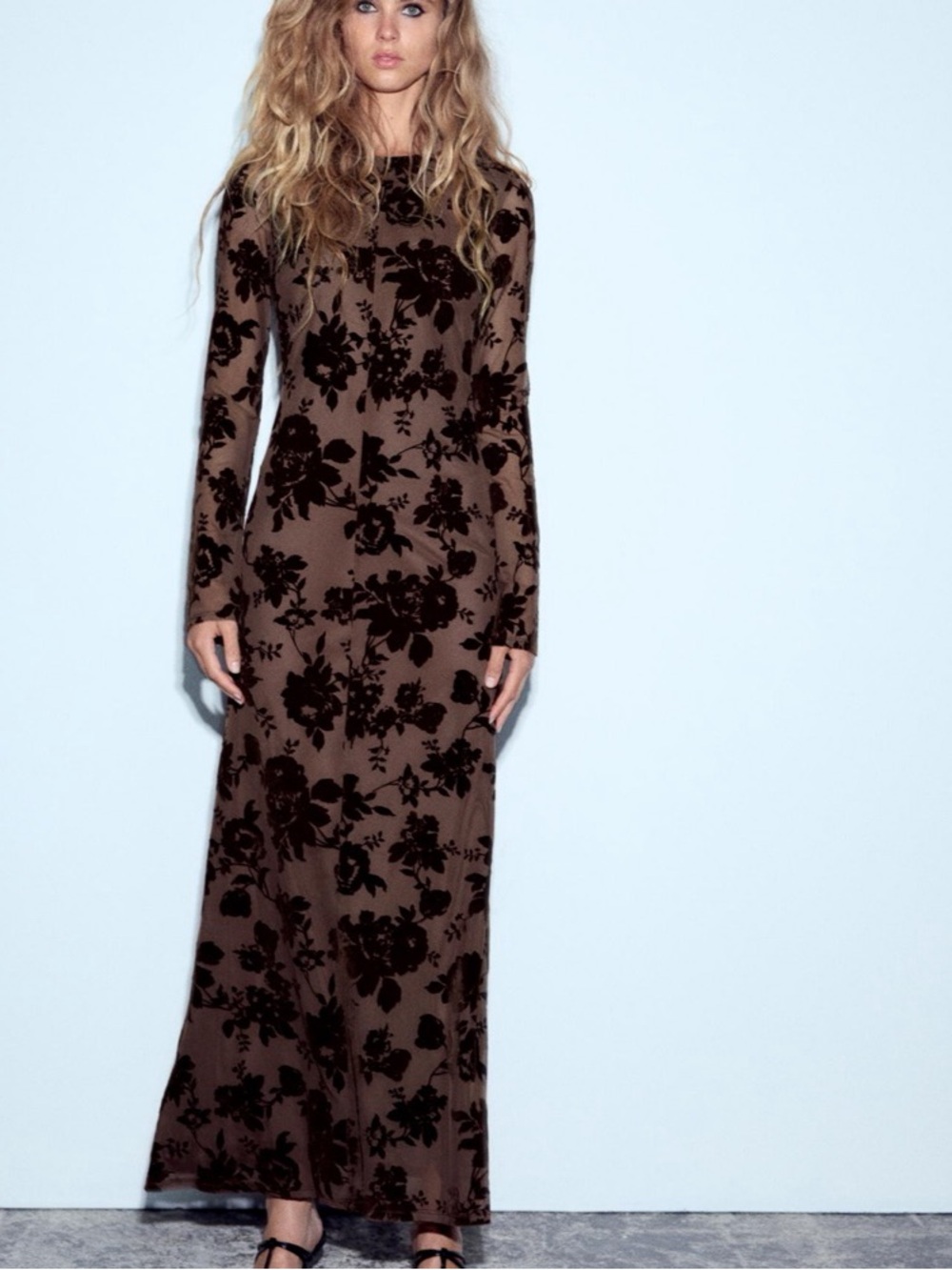 Zara Long-Sleeve Brown Floral Velvet Maxi Dress